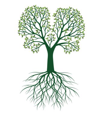 Köklü Yeşil Ağaç. Vektör Özet Çizimi.