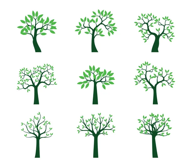 Set Arbres Verts Schéma Vectoriel Illustration — Image vectorielle