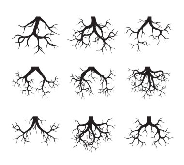 Vektör köklerini ayarla. Vektör illüstrasyonu.