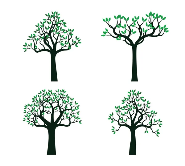 Placez Des Arbres Verts Schéma Vectoriel Illustration Plante Dans Jardin — Image vectorielle