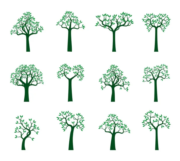 Placez Des Arbres Verts Schéma Vectoriel Illustration Plante Dans Jardin — Image vectorielle