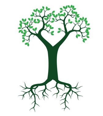 Yeşil Vektör Ağacı. Beyaz arkaplanda izole edilmiş bitkinin şekli.