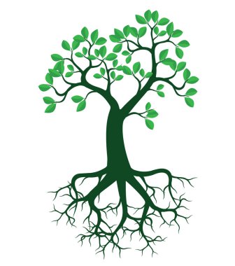 Yeşil Vektör Ağacı. Beyaz arkaplanda izole edilmiş bitkinin şekli.