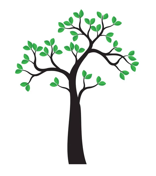 Green Vector Tree Tvar Rostliny Izolované Bílém Pozadí — Stockový vektor
