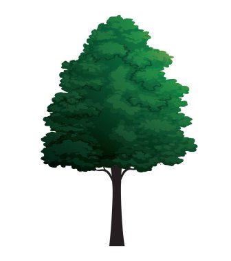 Vektör izole Ağaç. Yeşil Çizgi Çizimi.