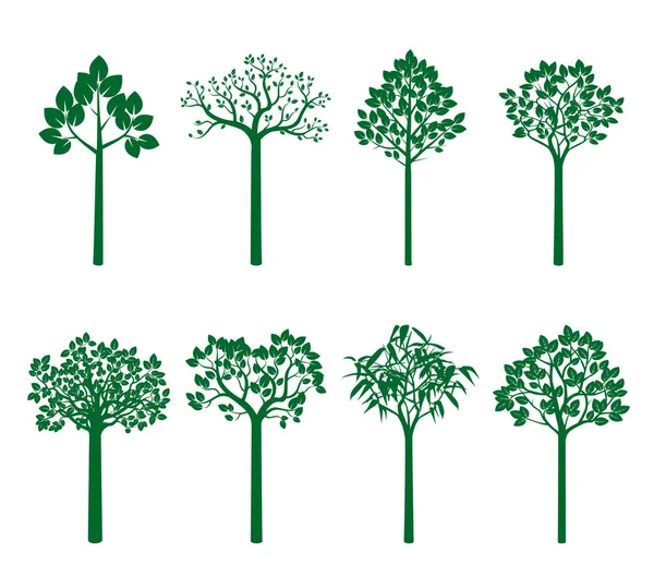 Установить Зеленые Деревья Векторная Иллюстрация Древо Жизни — стоковый вектор