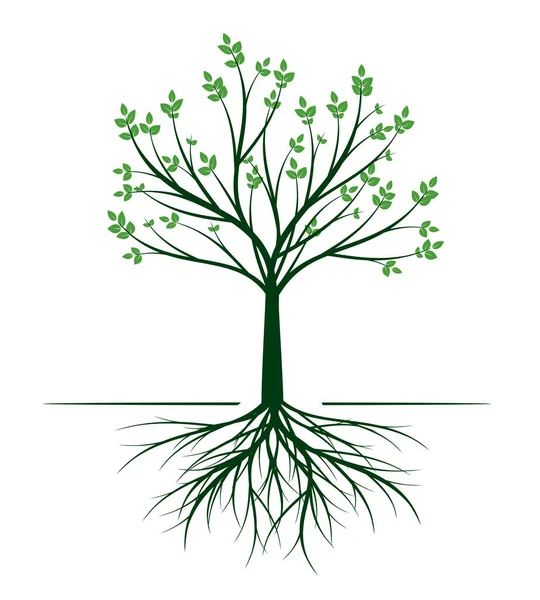 根のある緑の木 ベクトル概要イラスト ガーデンに工場 — ストックベクタ