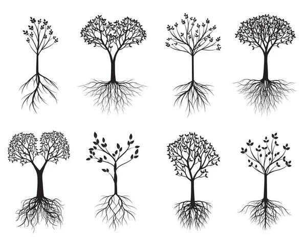 Bäume Setzen Vektorskizze Illustration Pflanzen Und Garten — Stockvektor