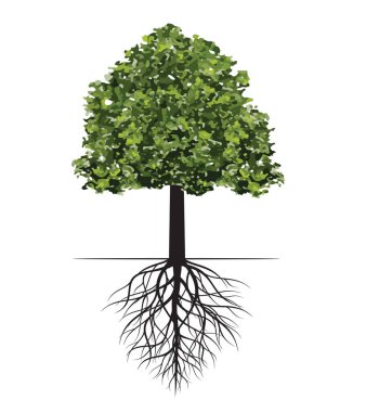 Shape of Spring Tree with Leaves and Roots. Vector outline Illustration. Plant in Garden.