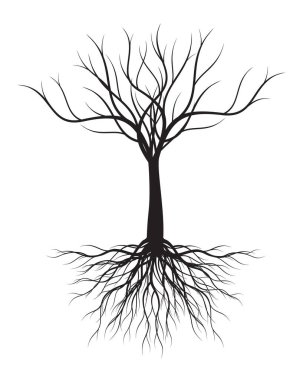 Black Tree with Roots. Vector outline Illustration.