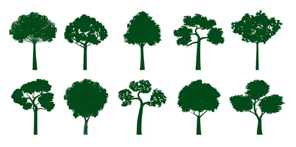 Коллекция Реалистичных Деревьев Зелёными Листьями Векторная Иллюстрация Изолирована Белом Фоне — стоковый вектор