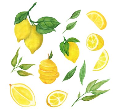 Bir suluboya limon seti