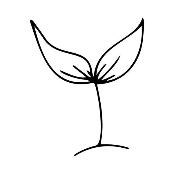 Лист Ікони Doodle Рослина Паросток Садова Овочева Іконка Саду — стоковий вектор