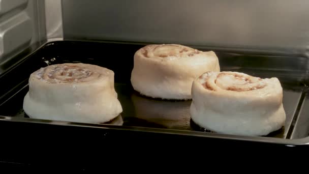 Timelapse - drie kaneel broodjes bakken en rijzen in elektrische oven thuis — Stockvideo