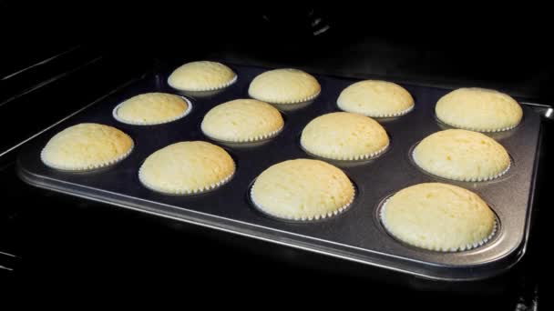 Zeitraffer - hausgemachte Cupcakes, Muffins backen und im Elektroofen aufgehen — Stockvideo