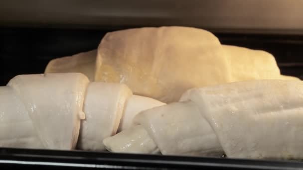 Timelapse - tre croissant in cottura e lievitazione nel forno elettrico: primo piano — Video Stock