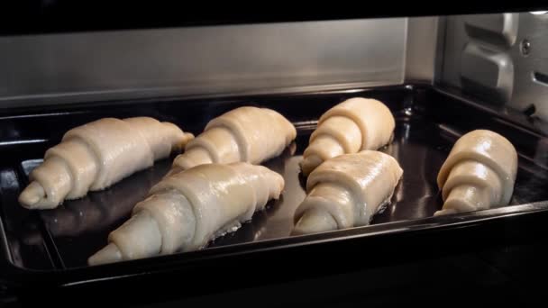 Timelapse: seis croissants caseros horneando y subiendo en el horno eléctrico en casa — Vídeos de Stock