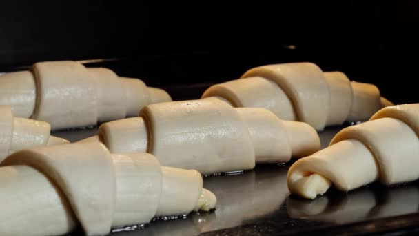 Timelapse - zes croissants bakken en rijzen op in elektrische oven thuis: close up — Stockvideo