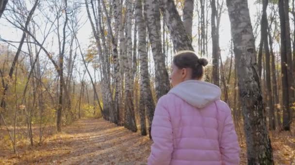 Visão traseira da jovem mulher andando no parque de outono - steadicam tiro — Vídeo de Stock