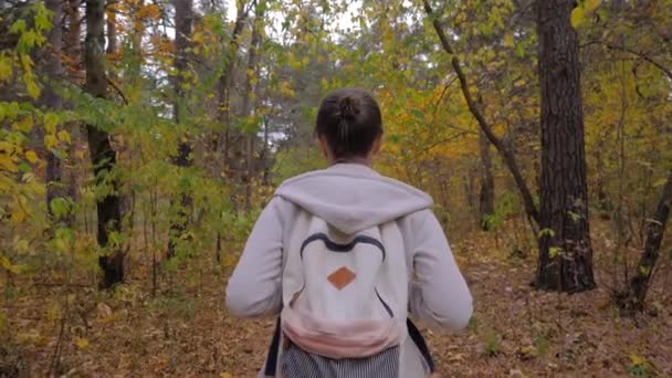 Zadní pohled mladé ženy s batohem procházky v podzimním parku - steadicam shot — Stock video
