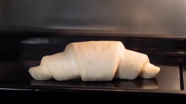 Timelapse - zelfgemaakte lelijke croissants bakken en rijzen in elektrische oven thuis — Stockvideo