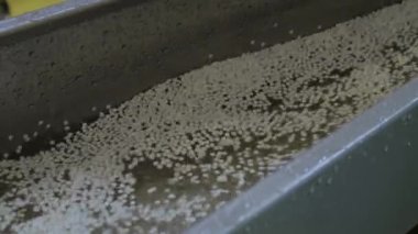 Plastik geri dönüşüm makinesi - geri dönüştürülmüş plastik tanecikli su akışı, topaklar
