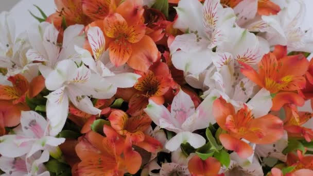 Zamknij: bukiet pomarańczowych i białych kwiatów alstroemerii na obracającej się powierzchni — Wideo stockowe