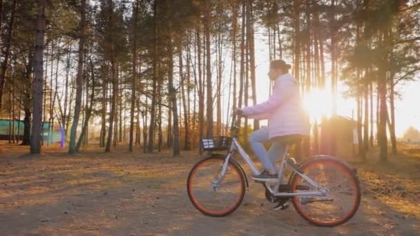 Slow motion: ung kvinna ridning cykel i höst barrskog vid solnedgången — Stockvideo
