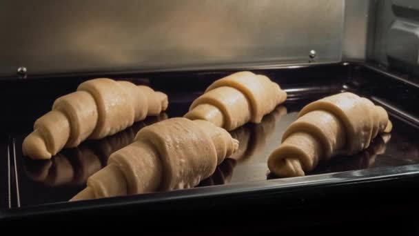 Timelapse - fyra hemmagjorda croissanter bakning och stiger i elektrisk ugn hemma — Stockvideo