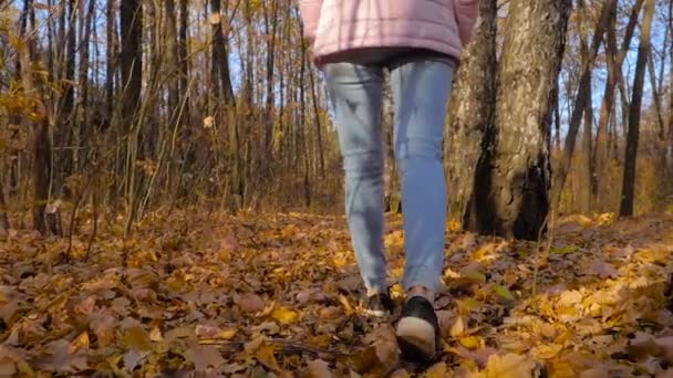 Lambat gerak: wanita kaki berjalan di jalan dengan daun jatuh di musim gugur taman — Stok Video