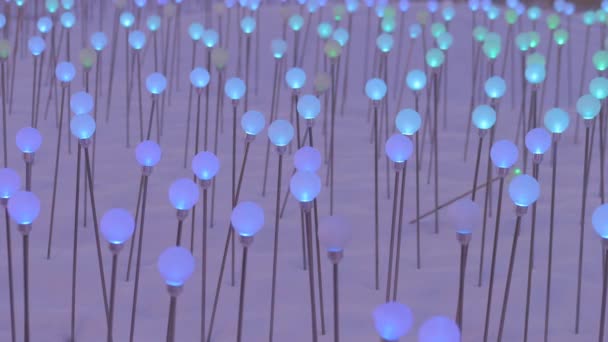 Крупный план - декоративные лампочки с ярким освещением на снегу ночью — стоковое видео