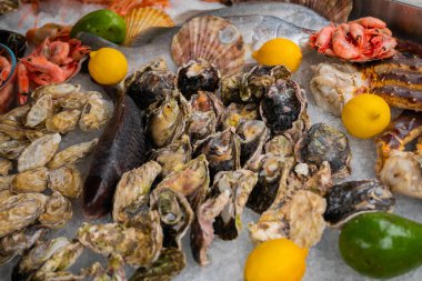 İstiridye, karides, avokado, limon, istiridye tezgahta. Yakın plan.