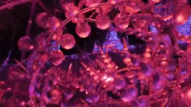 Renkli ışık ile mekanik çağdaş sanat kurulumunun parçaları taşınıyor