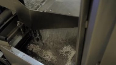 Geri dönüştürülmüş plastik tanecikler, topaklar - plastik geri dönüşüm makinesi ile su akışı