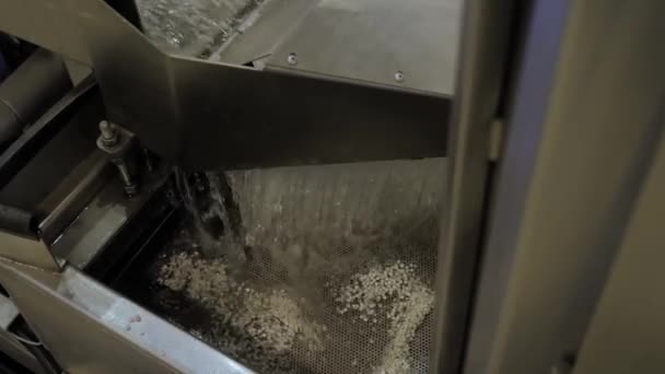 Flujo de agua con gránulos de plástico reciclado, pellets - máquina de reciclaje de plástico — Vídeo de stock