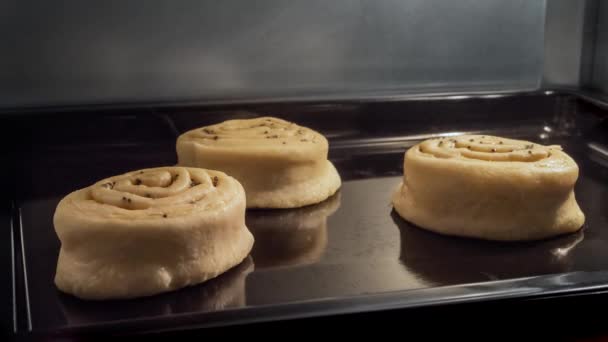 Timelapse - three homemade buns with poppy seeds baking in electric oven at home — Stockvideo