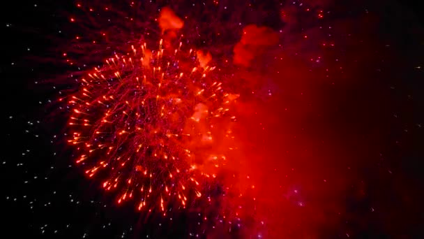 Färgglada ljusa fyrverkerier i mörk himmel på natten - semester koncept — Stockvideo