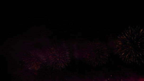 Färgglada fyrverkerier i mörk himmel på natten - semester koncept, brett skott — Stockvideo