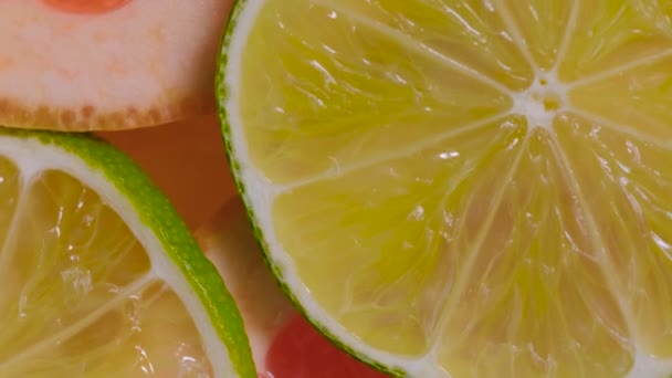 Macro: citrusvruchten schijfjes: sinaasappel, grapefruit, citroen, limoen op roterend oppervlak — Stockvideo