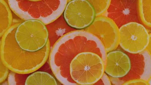 Tranches d'agrumes d'orange, de pamplemousse, de citron et de citron vert sur la surface tournante — Video