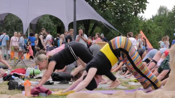 Grupp av personer med tränare som stretchar och yogaövningar i skogen — Stockvideo