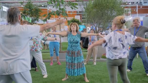 Grupul de bătrâni care fac exerciții de stretching și echilibrare a yoga — Videoclip de stoc