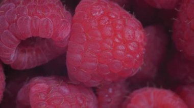 Üst görünüm: dönen yüzeyde birçok taze kırmızı ahududu var: kapat