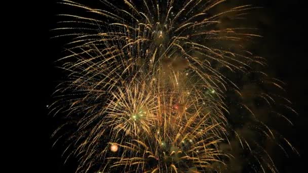 Mișcare lentă: focuri de artificii colorate luminoase pe cerul întunecat pe timp de noapte concept de vacanță — Videoclip de stoc