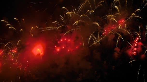 Färgglada fyrverkerier i mörk himmel på natten: slow motion - semester koncept — Stockvideo
