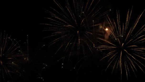 Färgglada ljusa fyrverkerier i mörk himmel på natten - semester koncept - slow motion — Stockvideo