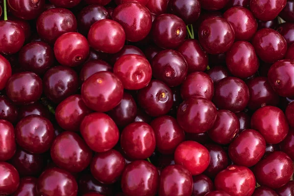 Fondo Natural Bayas Maduras Cerezas Rojas Fotografía Horizontal — Foto de Stock