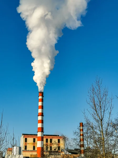 危険な化学物質による大気汚染 青い空に対する植物の赤白パイプからの白い煙 垂直写真 — ストック写真