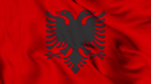 Σημαία Αλβανίας Υψηλής Ποιότητας Ανάλυση — Αρχείο Βίντεο