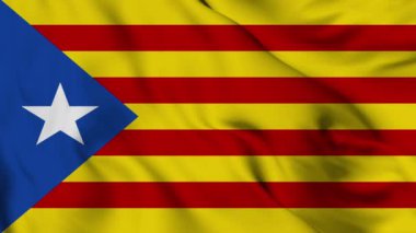 Flag of Catalonia. High quality 4K resolution